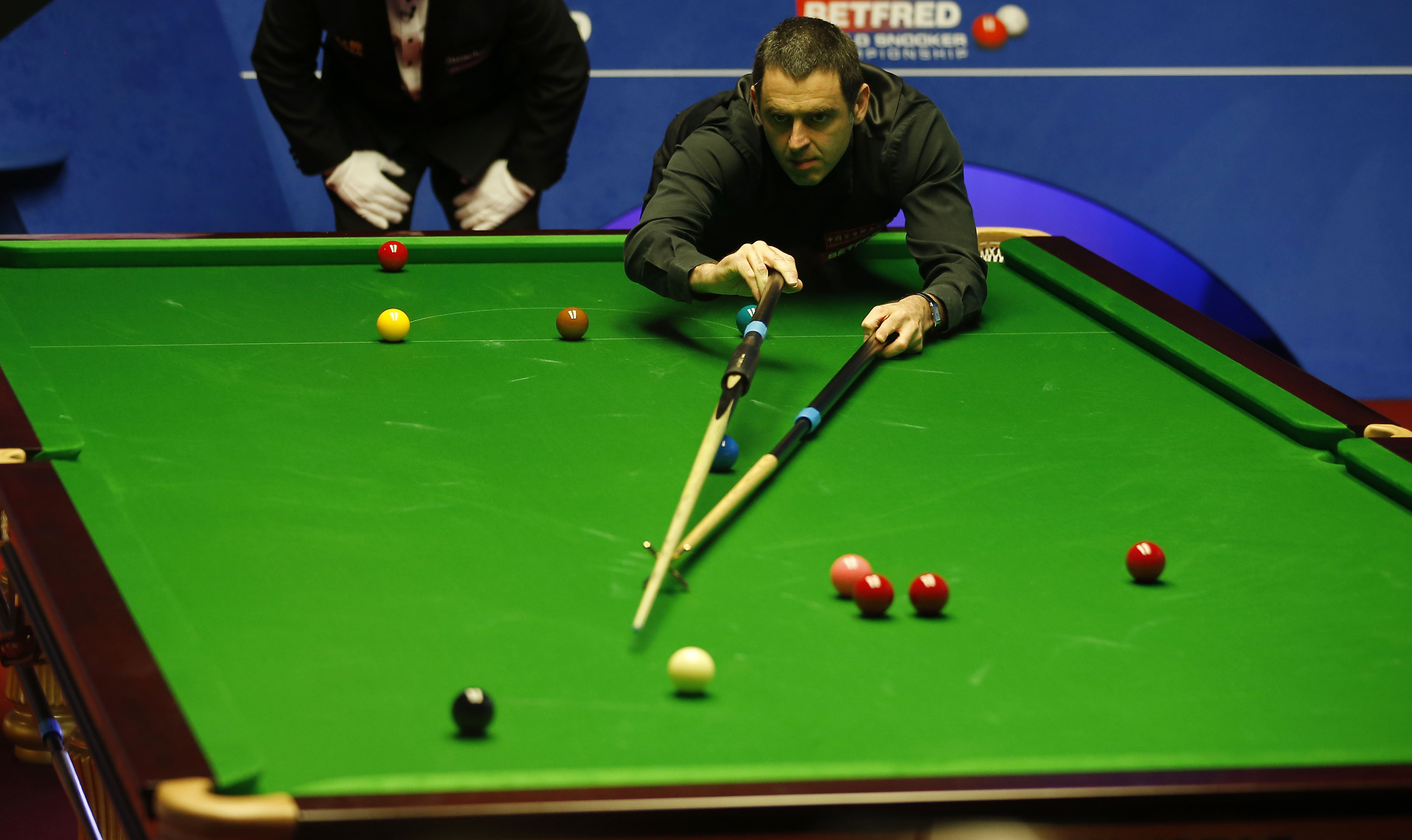 这篇文章 这篇文章